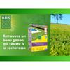 Seeds BHS 1 kg