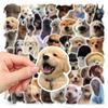 50 Stück Husky Welpen Aufkleber Corgi Shiba Inu Aufkleber Spielzeug Meme Hund Aufkleber Handbuch