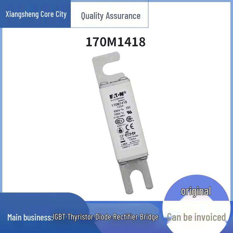 Bussmann 170M5887 170M5888 High-Voltage Original Fuse - Brand New