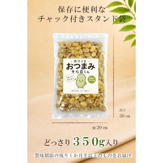 Broad Beans Fried Lightly Salted 350g Large Size Snack Resealable Bag Shinshu Good Things Lab