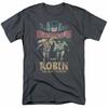 Classic Batman Classic Duo T-shirt Mens Licensed Classic TV Merchandise Charcoal