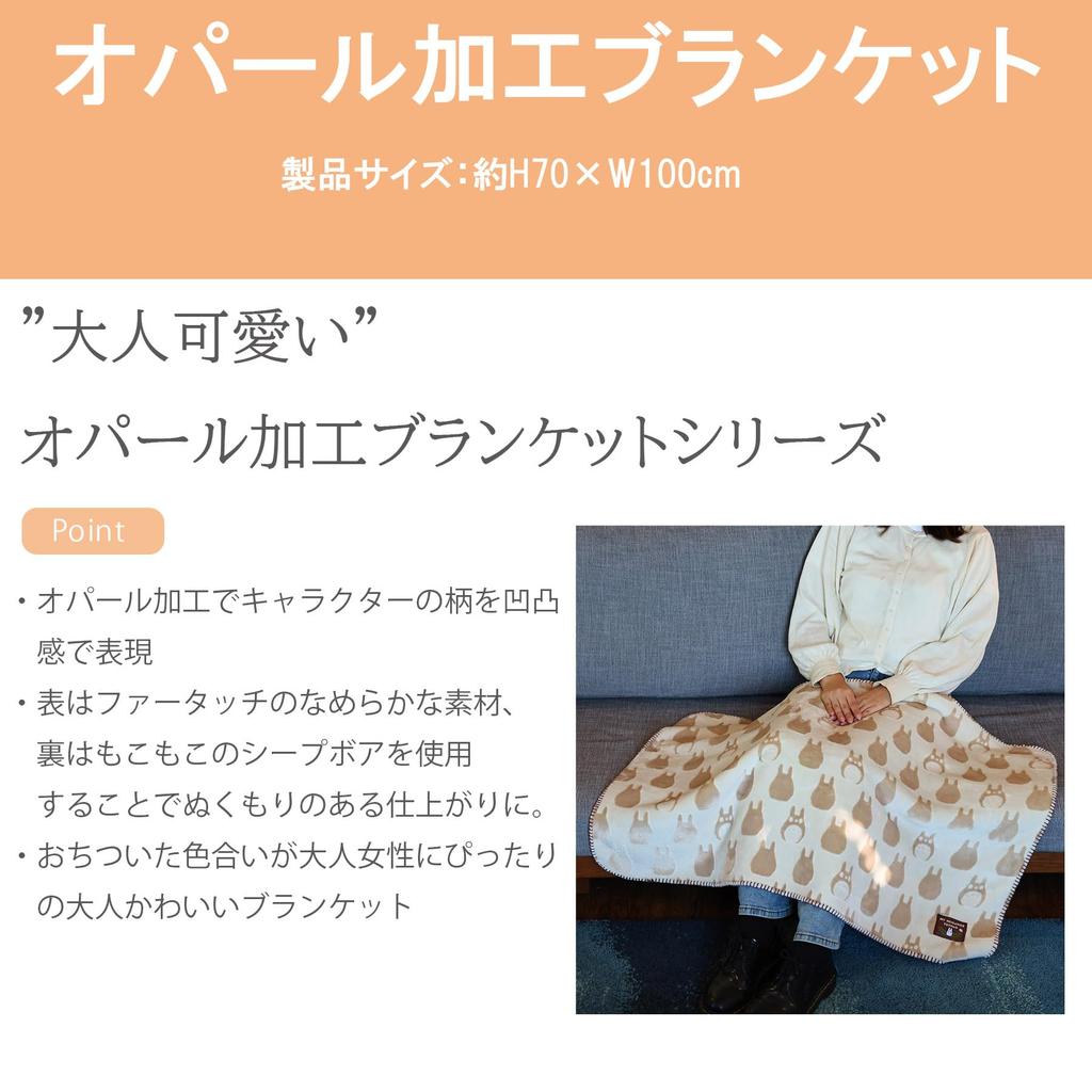 Marushin Disney Mickey Mouse Gray Pattern 70cm H X 100cm Winter Product 2245030100 Throw, Approx. W, Cute, Fluffy, Stylish, Warmer, Number