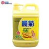 Lanjv Ginger Dishwashing Liquid