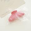 2023 New Women Sweet Resin Large Barrettes Crab Hair Clip Fashion Jelly Hair Claw Shark Clip For Girls Hair Accessories Headwear