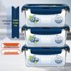Demas Glass Food Storage Containers