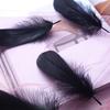 50Pcs Macaron Colored Feather Decorative Goose Feather Large Medium Floating Dream Net Gift Box Filled With Bouquet Diy Handmade Materials