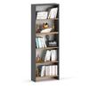 Büro-Bücherregal Graueiche Wotan 60cm 5 Regale Loft Spielzeugregal
