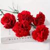 DIY Craft Artificial Red Carnations 54cm Fake Plants Simulation Carnation Flower  Garden