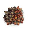 Festive Simulation Acorns & Chestnuts Ornaments for Home & Christmas Decor