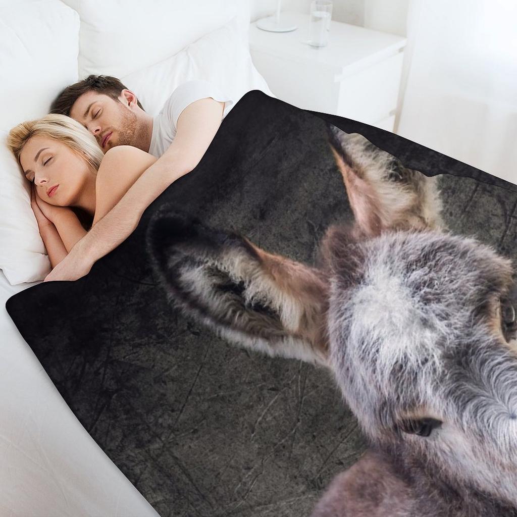 Donkey Foal Mattheo Throw Blanket Halloween Sofa for Sofa Extra Large Throw Blankets