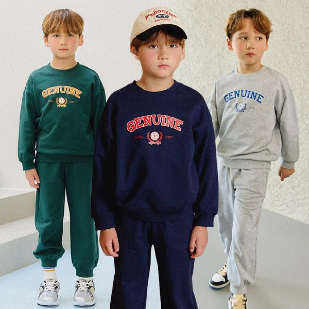 

Оливан Толстовка с логотипом арки и низ 3 цвета painted/150