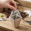 8 cm Square Seedling Cup with Ventilation Lid and Center Hole for Pruning