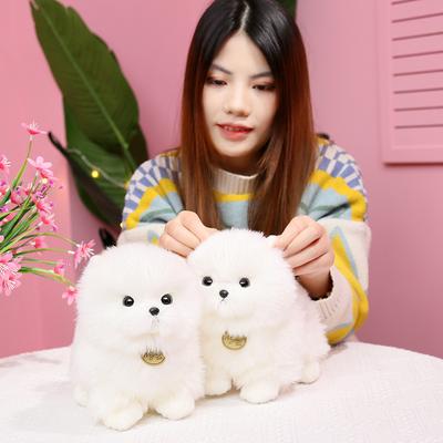 Simulation Dog Teddy Dog Doll Plush Toy Little White Dog Pomeranian Dog Doll Children's Soothing Pillow Rag Doll