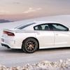 Accesorii de exterior – Autocolante pentru auto