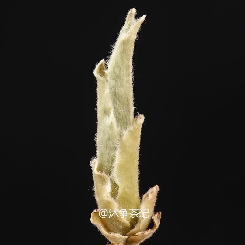 Пуэр листовой Шэн ча 250г Юньнань Белый бутон Чай Пуэр Бай Я Бао Шэн — фото 2