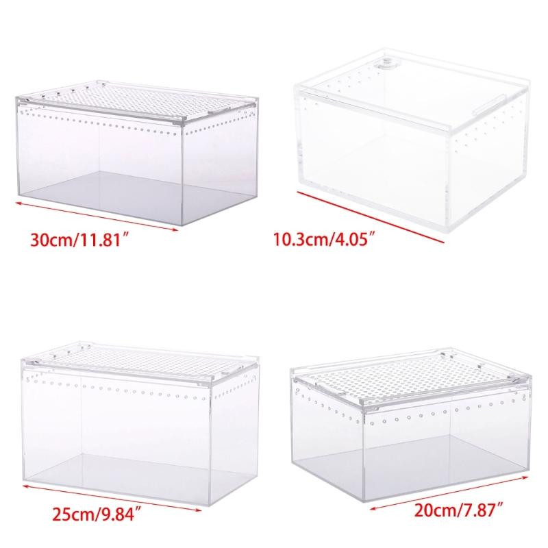 Reptile Box Feeding Small Pet Horned Spider Lizards Snail Snake Clear Designed Box Geckos Silkworms Insect Snake House