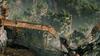Beautiful Desolation Switch -