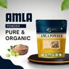 Brijbooti Amla-Pulver für Haarmasken & Packungen (250 g) | Indische Stachelbeere | für Haare, Haut, zum Essen und Trinken | Rein und Natürlich |
