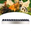 Feeder Trough Stainless Steel Chick Feeding Dispenser Tray for Duck