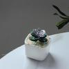 Glazed Succulents Potted Plants Artificial Succulents Mini Maintenance-Free