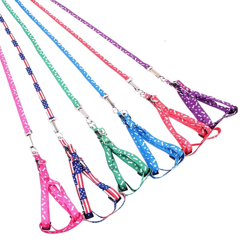 Jinlongtai Small Dog Harness and Leash Set