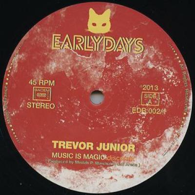 12-Zoll-Schallplatte TREVOR JUNIOR - Music Is Magic Disco Mix / Listen T EDR0021 Early Days 2013 Frankreich Reggae, Ska & Dub Gebraucht