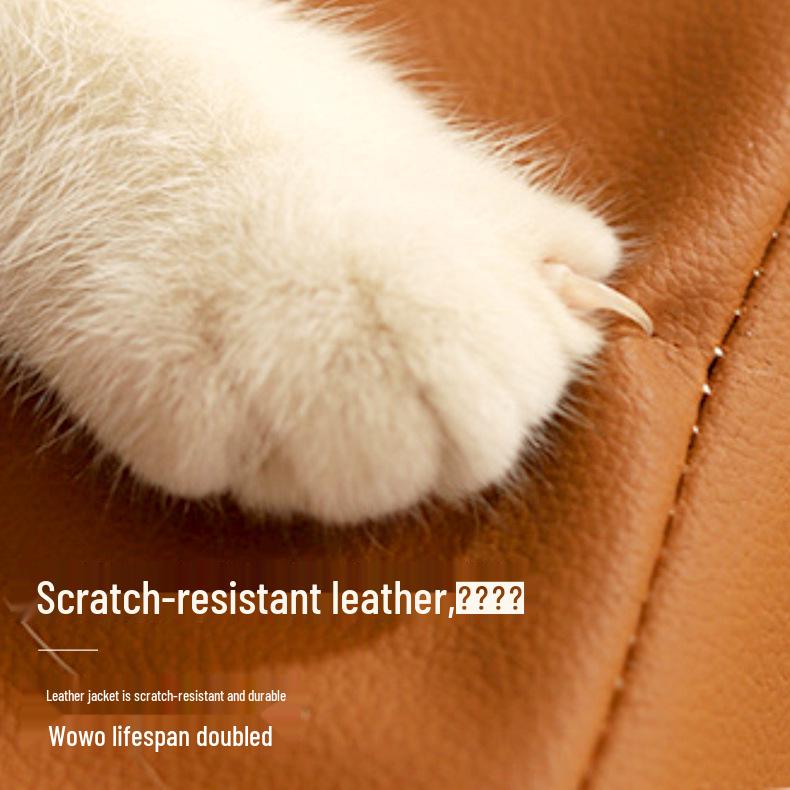 Durable, Waterproof, Hair-Resistant Dog Bed - Cozy for Small & Medium Dogs, Washable, and Warm for Winter.