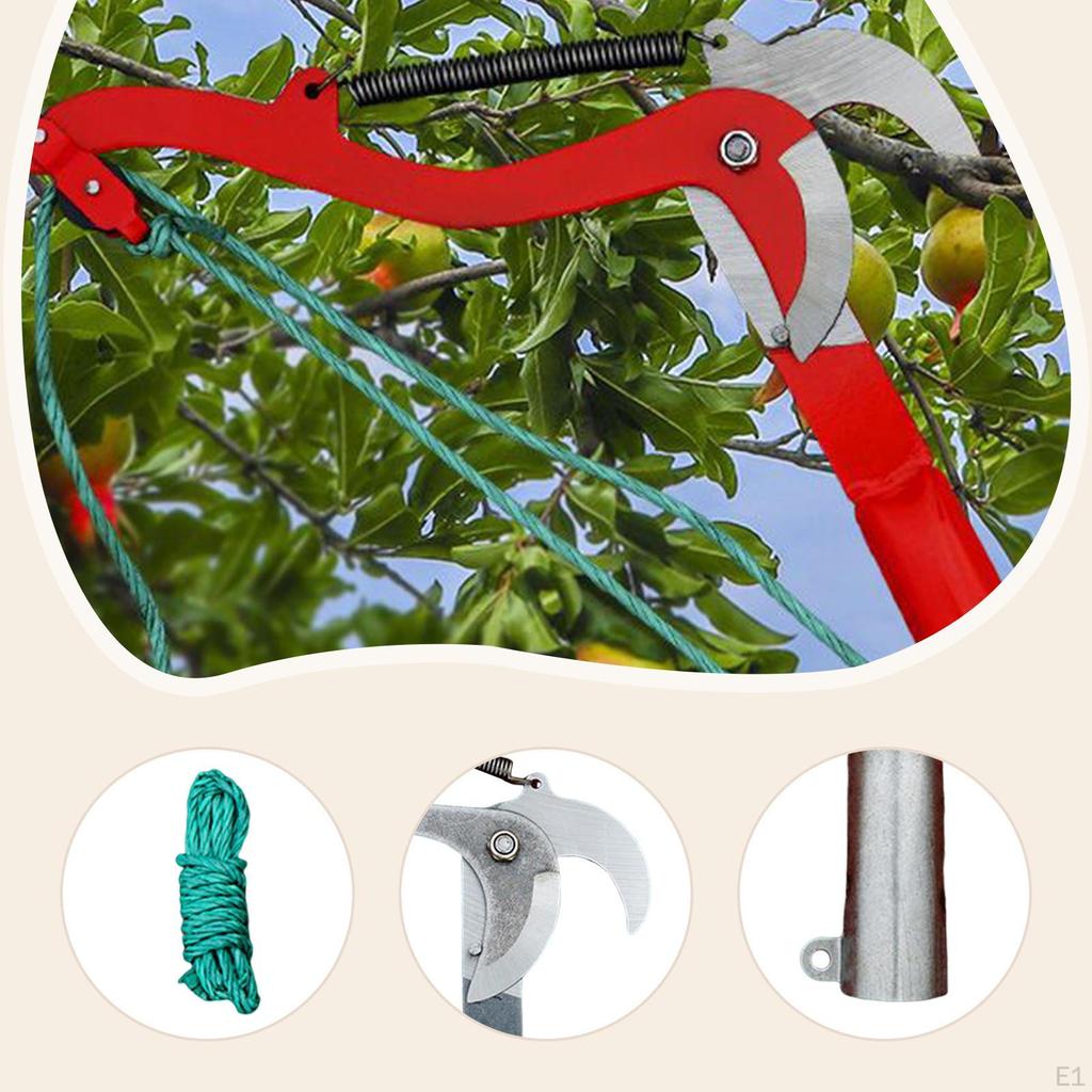 Tesoura de Poda de Alta Altitude Podador de Galhos Colhedor de Frutas Tesoura de Jardim Profissional Corda Incluída