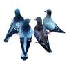 Slight Batch Variation Realistic Pigeon Foam Pigeon