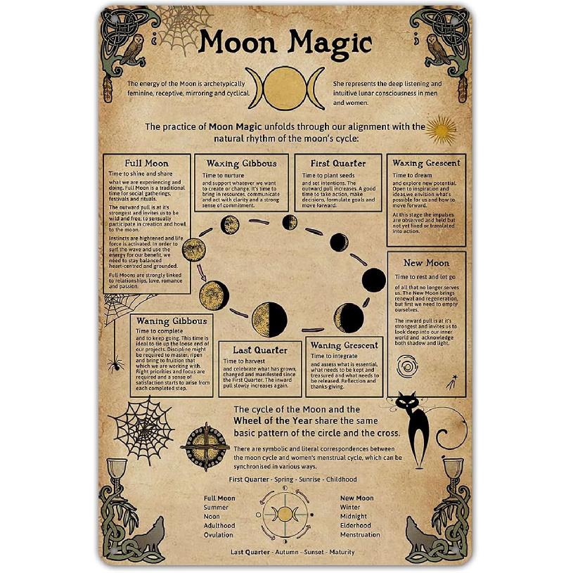 SmartCows Vintage Witchcraft Knowledge Poster Metal Sign Funny Science Education Tin Sign Bar Home Wall Decor Kitchen Decoration 8x12 Inch