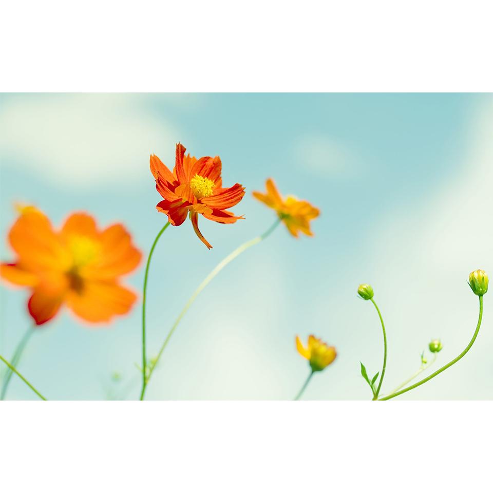 5D DIY Flowers Diamond Painting Rhinestone Landscape Picture Full Diamond Embroidery Mosaic Home Decor Gift Cross Stitch Kit