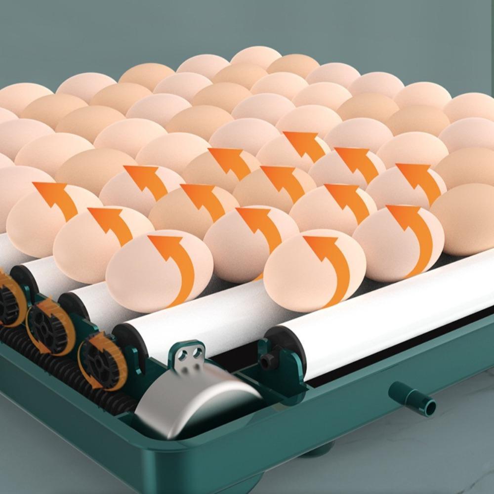 Intelligent Egg Incubator Automatic Egg Flipping Hydration Temperature Control Goose/duck/quail/pigeon Eggs Breeding Incubators