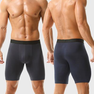 Long Men's Panties Sports Leggings Boxershorts Mens Polyester Underwear Man Boxers Shorts Quick-drying Boxer for Men Underpants