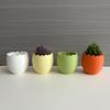 4 Pezzi Mini Fioriera a Forma di Uovo Fioriera per Piante Succulente Ornamento da Tavolo Fioriera in Plastica Decorazione per la Casa Decorazione di Pasqua