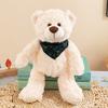 Romantischer Rosen-Teddybär Plüschtier für Paare Valentinstagsgeschenk