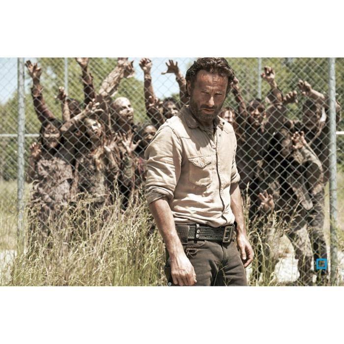 THE WALKING DEAD Saison 4 DVD