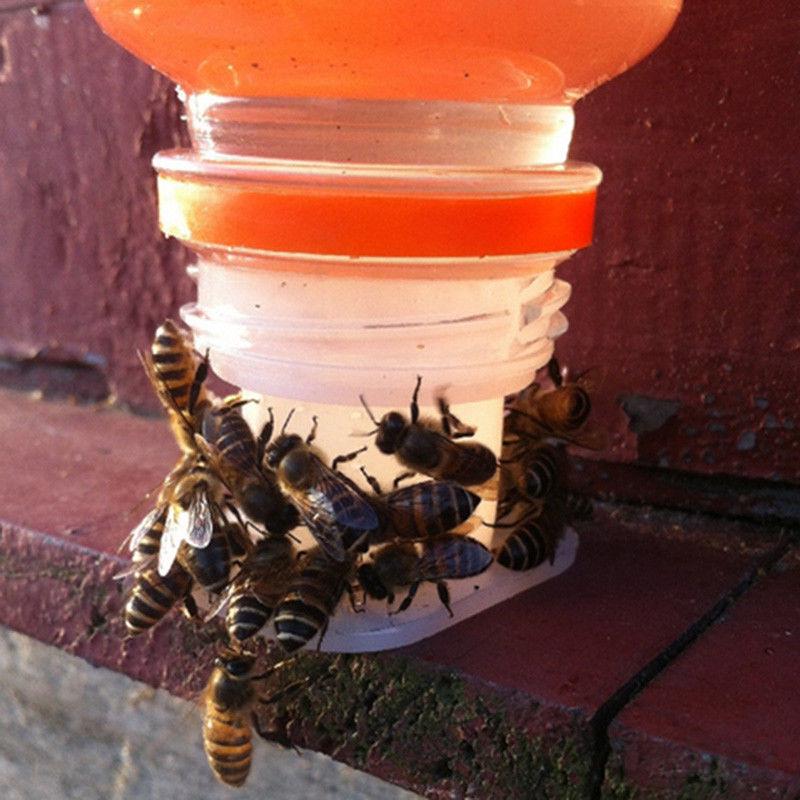 Plastic Bee Feeder Water Drinking Fountain Jar Beekeeper Tool Beekeeping L3C1