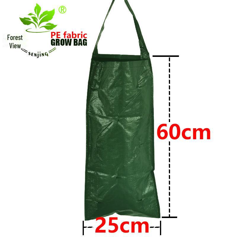 Senjing PE Hanging Strawberry Planter Growth Bag