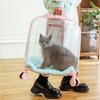 Transparent Pet Travel Suitcase & Stroller - Double-Layer, Airline-Approved for Cats & Dogs.