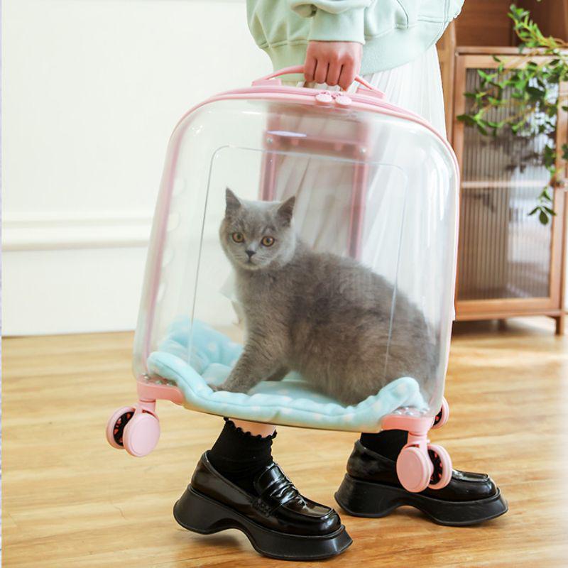 Transparent Pet Travel Suitcase & Stroller - Double-Layer, Airline-Approved for Cats & Dogs.
