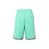SS23 Basketballshorts Herren Hellminzgrün FJ7229-369
