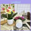 Butterfly Orchid Faux Flower Vase Decor With Plastic Material For Home And Garden Display