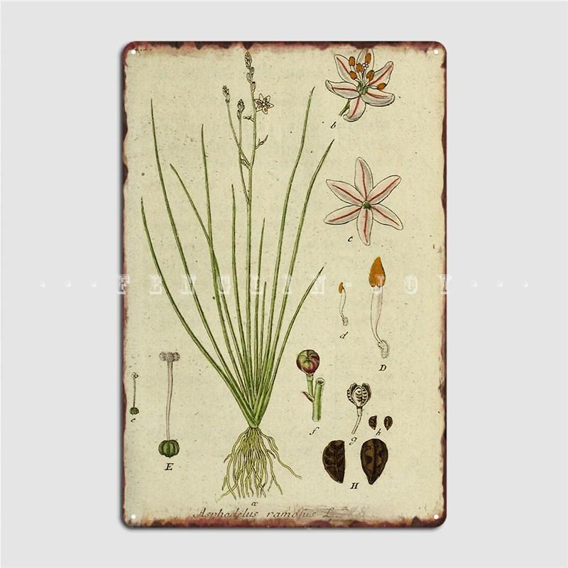 

ВинтажНый ботанический плакат Металлическая табличка Кино Кухня Ретро Бар Пещера Стена Декор Жестяной знак Плакат