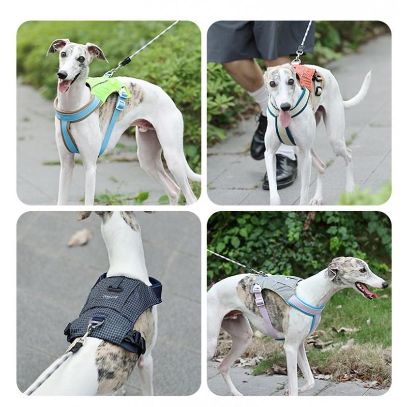 Medium Dog Harness No Pull Breathable Lightweight Pet Walking Outdoor Use