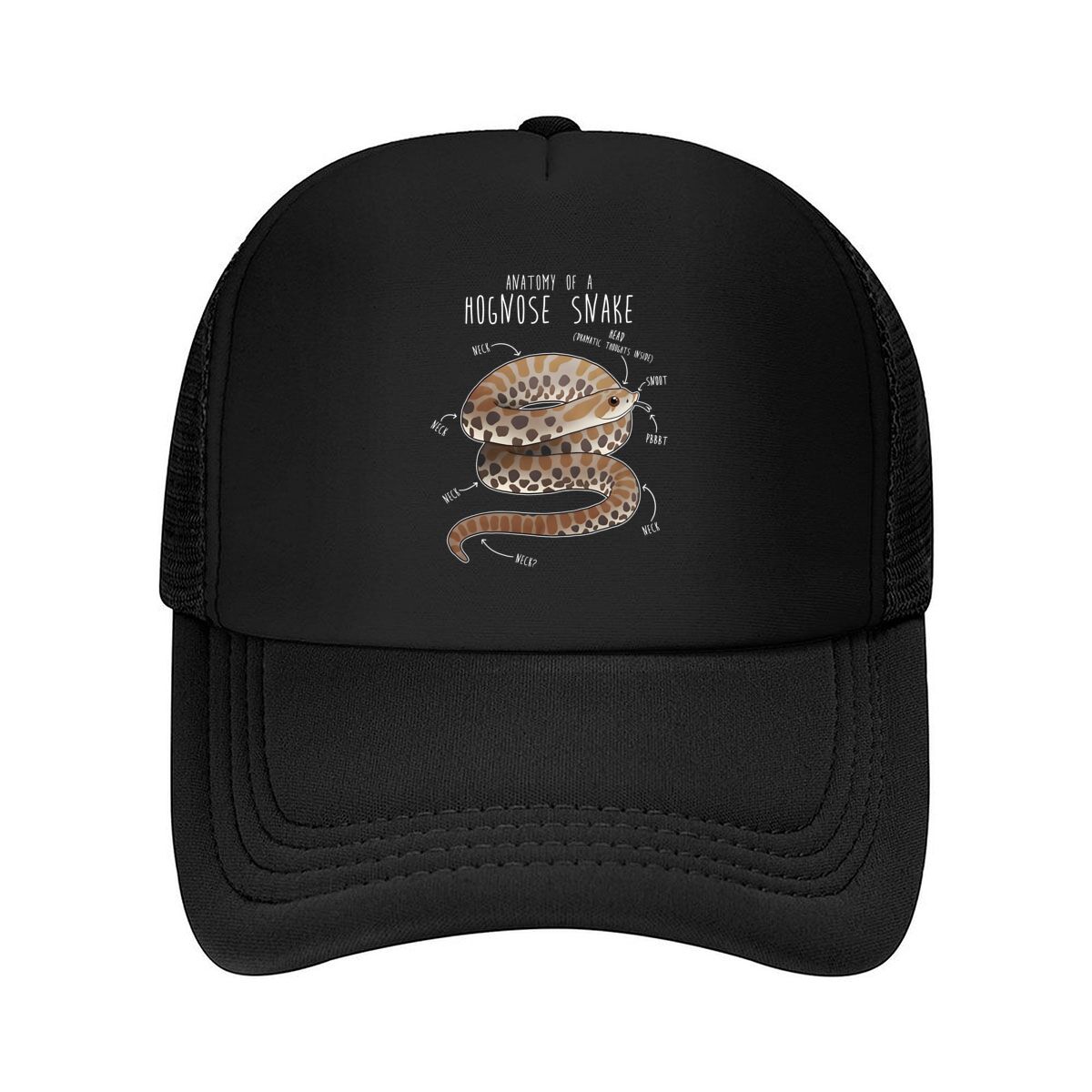 

Anatomy of a Hognose Snake Educational Reptile Art Detailed Diagram for Herpetology Fans Mesh Baseball Cap One Size