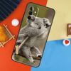 Koala Case For Samsung Galaxy A17 A35 A55 A06 A16 A26 A36 A56 A53 A32 A52 A33 A13 A14 A34 A54 A15