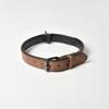 Collier anti-perte dépoli pour chiots de petite taille, de grande taille et Huskies