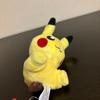 Pokemon Center Petit Plush Toy Female Pikachu Used Tag Included Pokemon Pocket Monsters - - - -