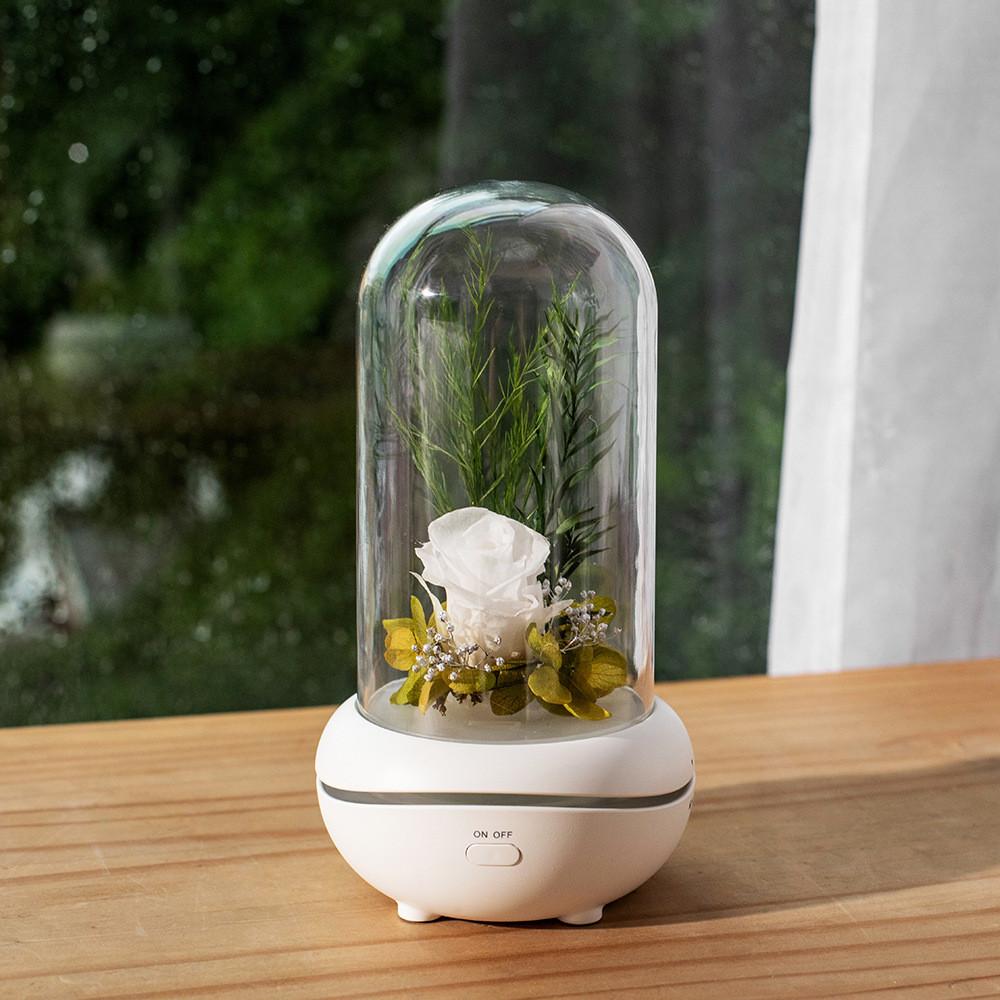 USB Rechargeable Eternal Flower Fragrance Night Light Mute Lava Lamp Mini Essential Oil Desk Lamp Holiday Gift Bedroom Décor
