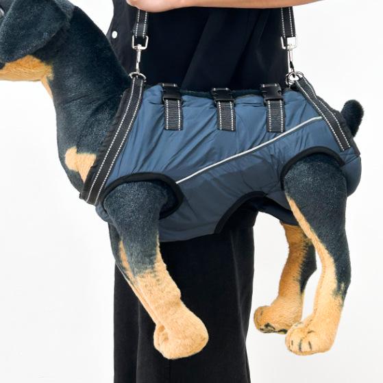 Pas wspierający tylną nogę starszego psa: Pomoc w poruszaniu się dla psów słabych lub kontuzjowanych